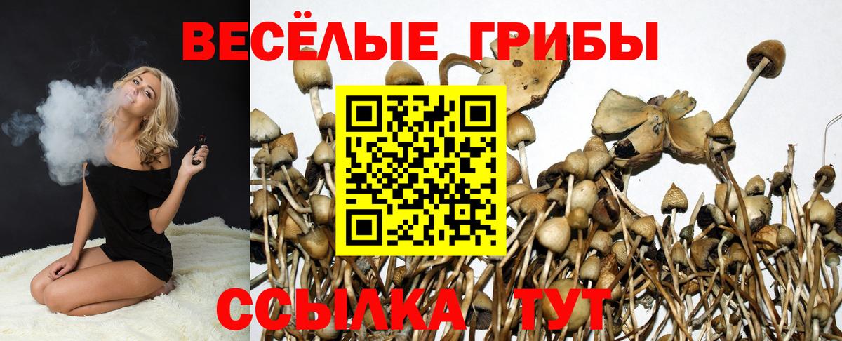 Сатка  Псилоцибиновые грибы Magic Shrooms  Вход с VPN 