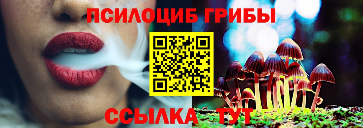 Псилоцибиновые грибы Psilocybe Сатка